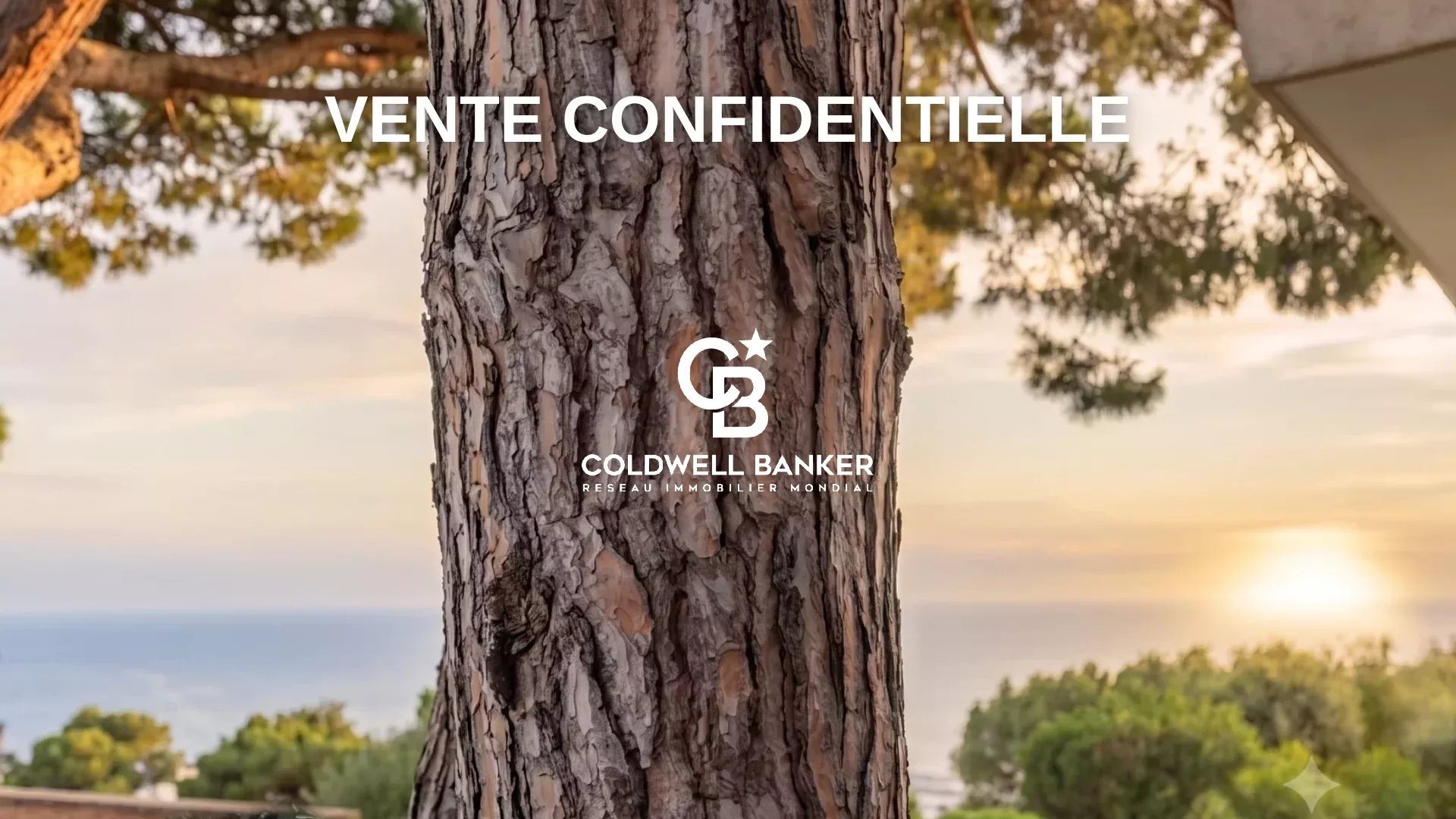 Maison à vendre, 845m², Vallauris