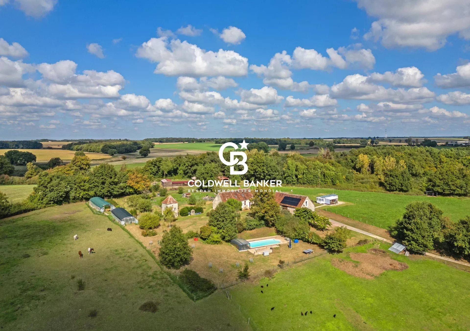 Maison à vendre, 430m², Loches