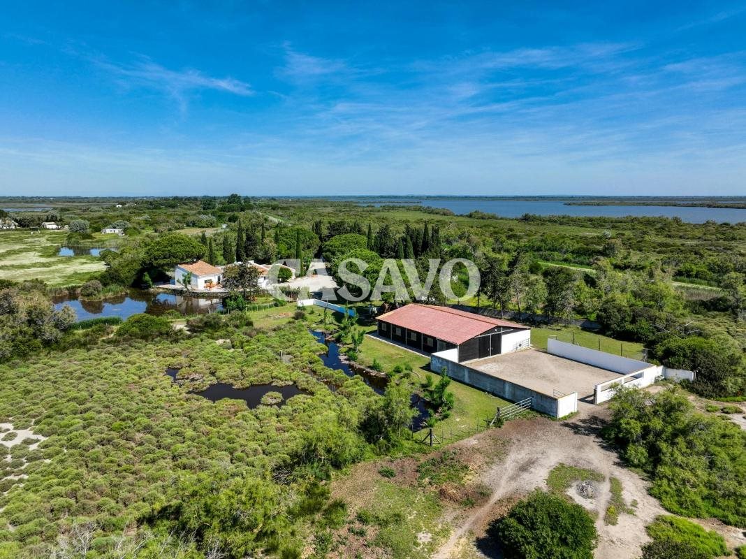 Maison à vendre, 300m², Saintes-Maries-de-la-Mer