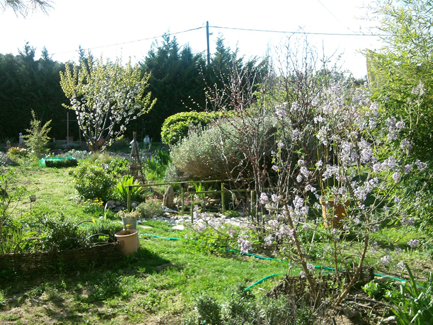 Maison à vendre, 100m², Crillon-le-Brave