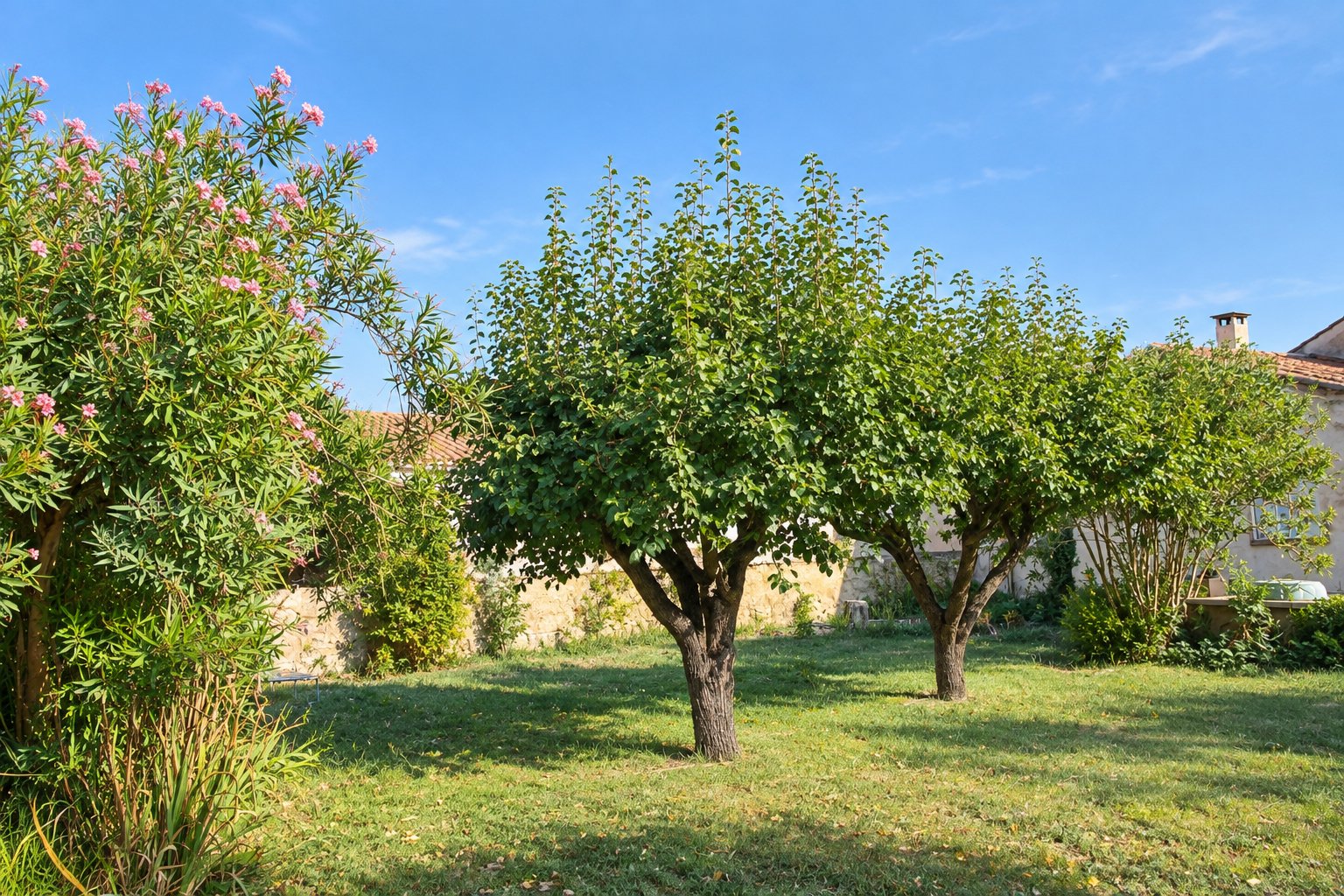 Maison à vendre, 108m², Aubignan