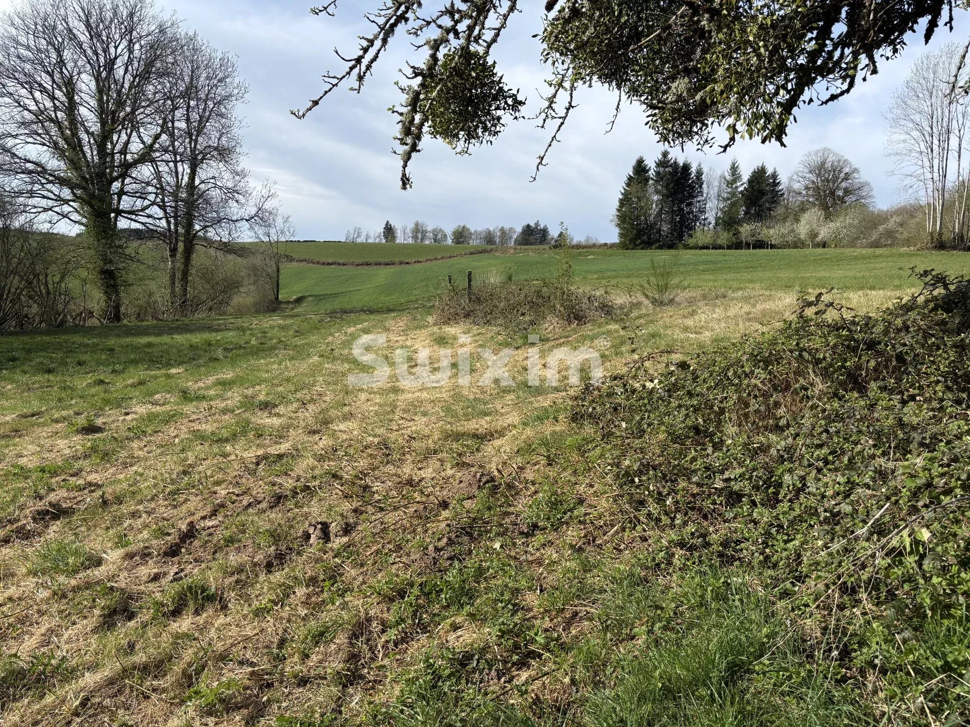 Maison à vendre, 115m², Quarré-les-Tombes