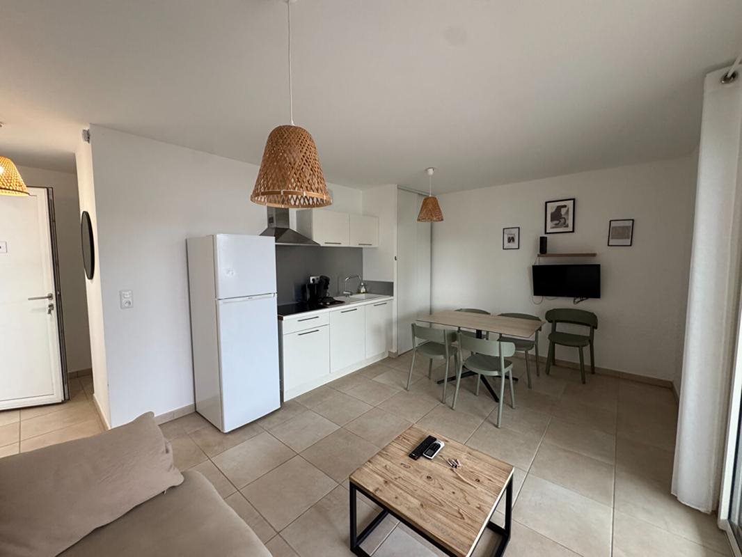 Appartement à vendre, 45m², Linguizzetta