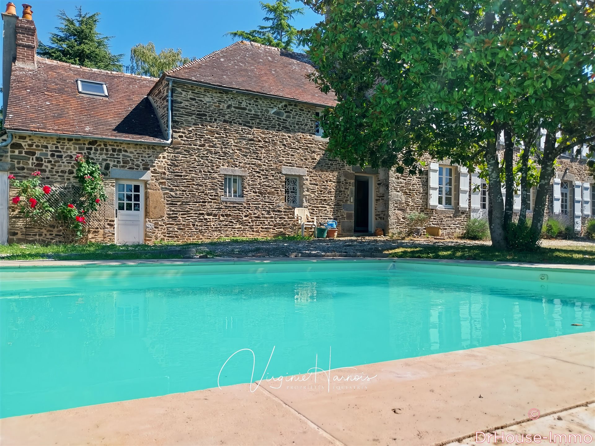 Maison à vendre, 235m², Tessé-Froulay