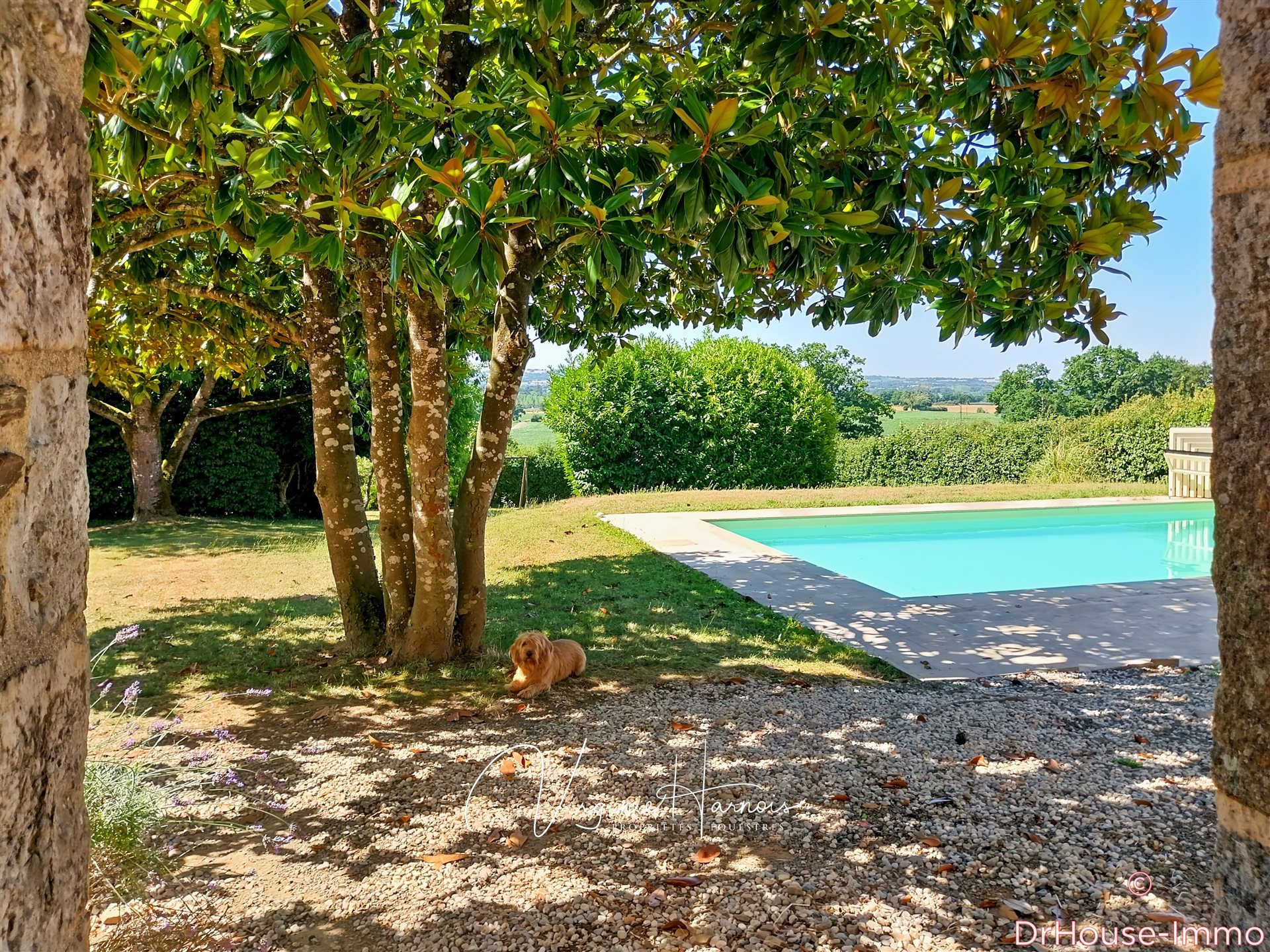 Maison à vendre, 235m², Tessé-Froulay
