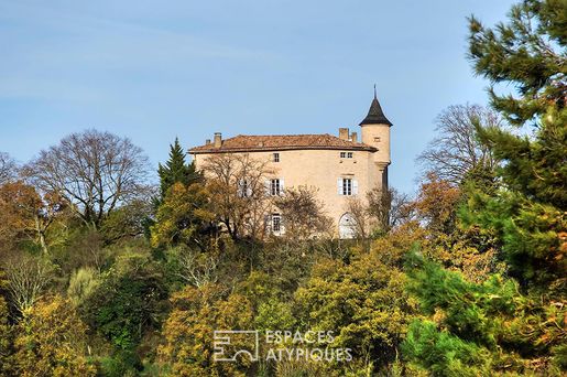 Maison 10 pièces 530 m² · à Puycalvel · 530 m² · 915 000 €