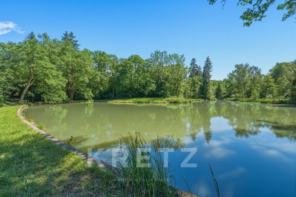 Maison à vendre, 550m², Reignier-Esery