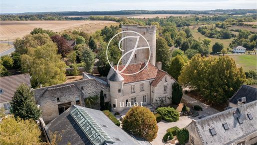 Maison 17 pièces 950 m² · à Droizy · 950 m² · 2 294 250 €