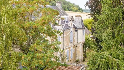 Maison 8 pièces 350 m² · à Sainte-Maure-de-Touraine · 350 m² · 600 000 €