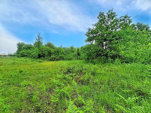 Terrain 21723 m² · à Moulin-Neuf · 199 000 €