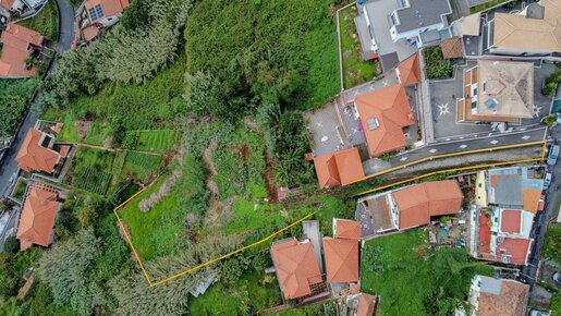 Advert pic 0