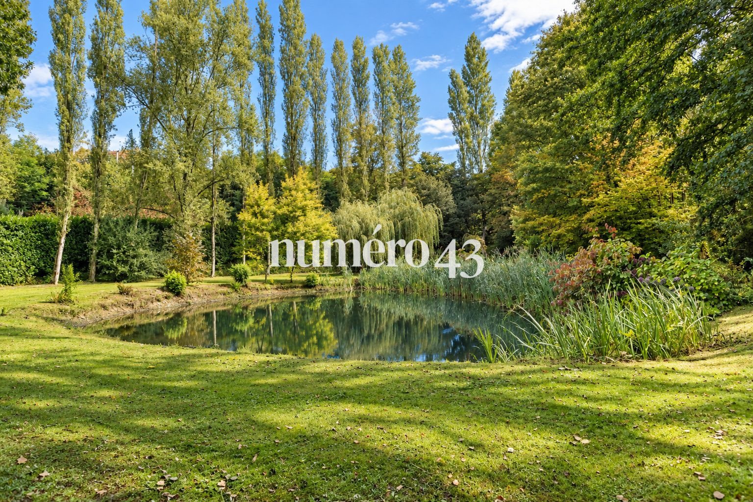 Maison à vendre, 223m², Landivisiau