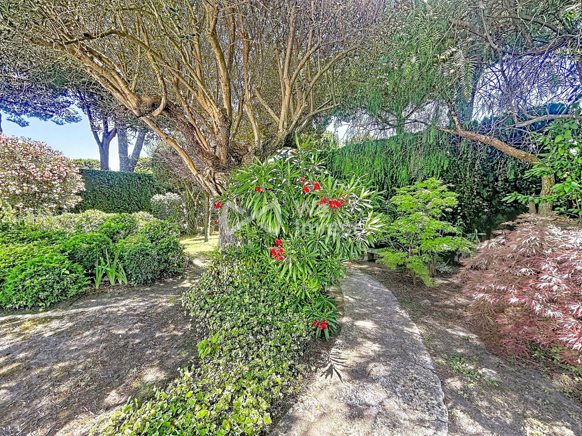 Maison à vendre, 254m², La Grande-Motte