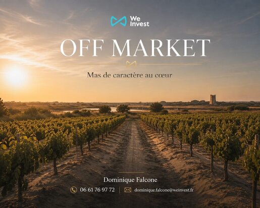 Terrain 8 pièces 260 m² · à Saint-Laurent-d'Aigouze · 260 m² · 890 000 €