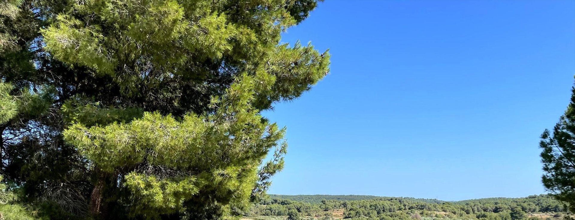 Maison à vendre, 192m², Castelnau-de-Guers