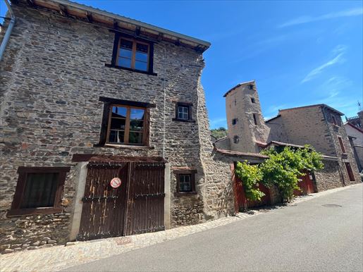 Ensemble immobilier à Blesle · 420 m² · 184 625 €