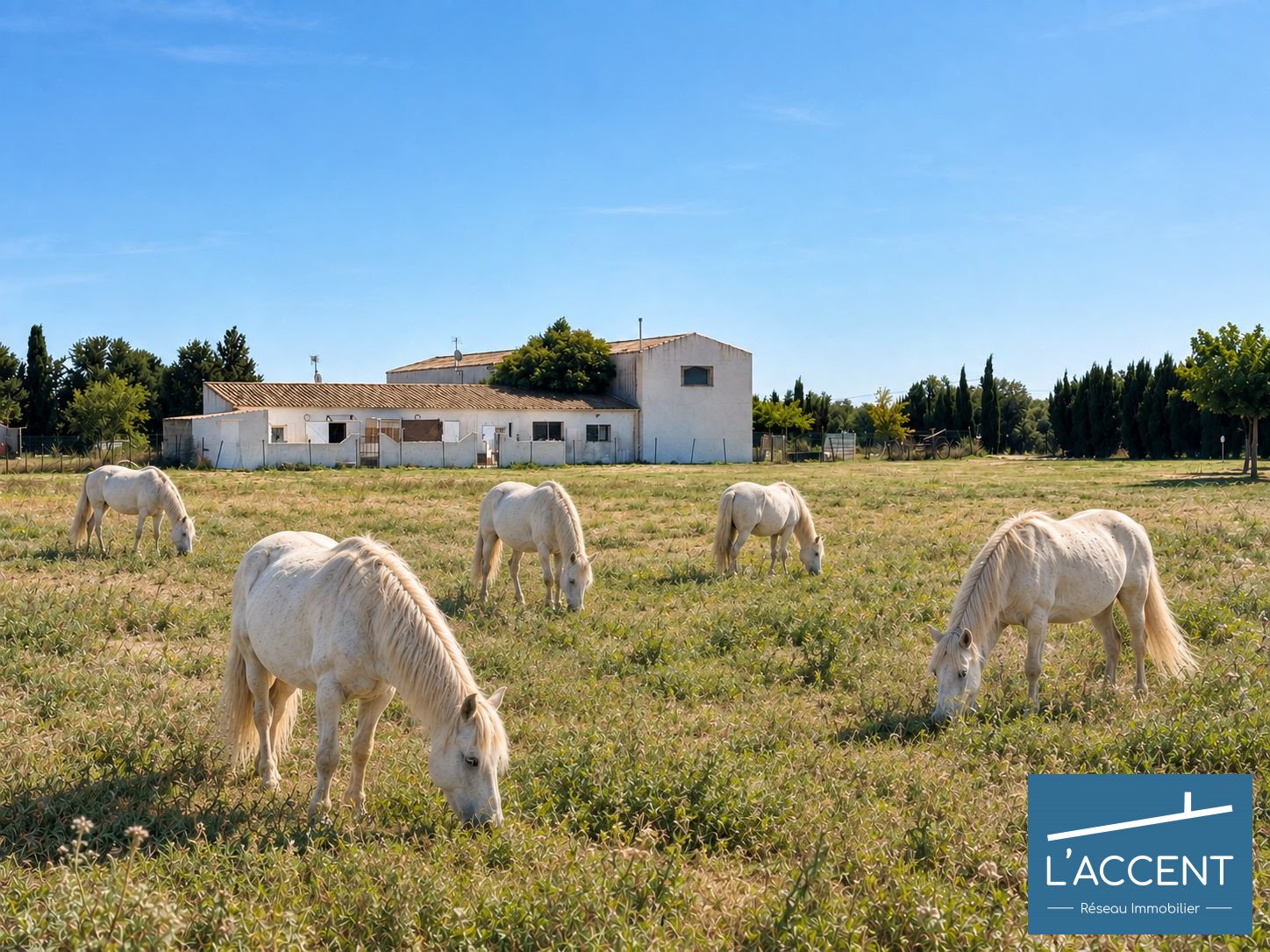 Maison à vendre, 186m², Le Cailar