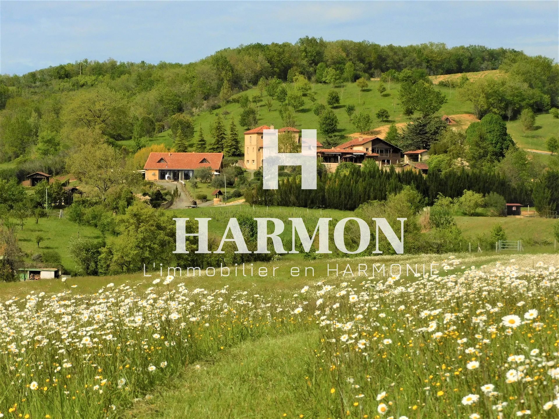 Maison à vendre, 954m², Mirande