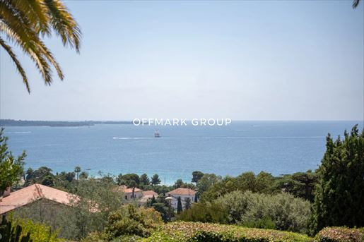 Cannes (Alpes-Maritimes) photo 2