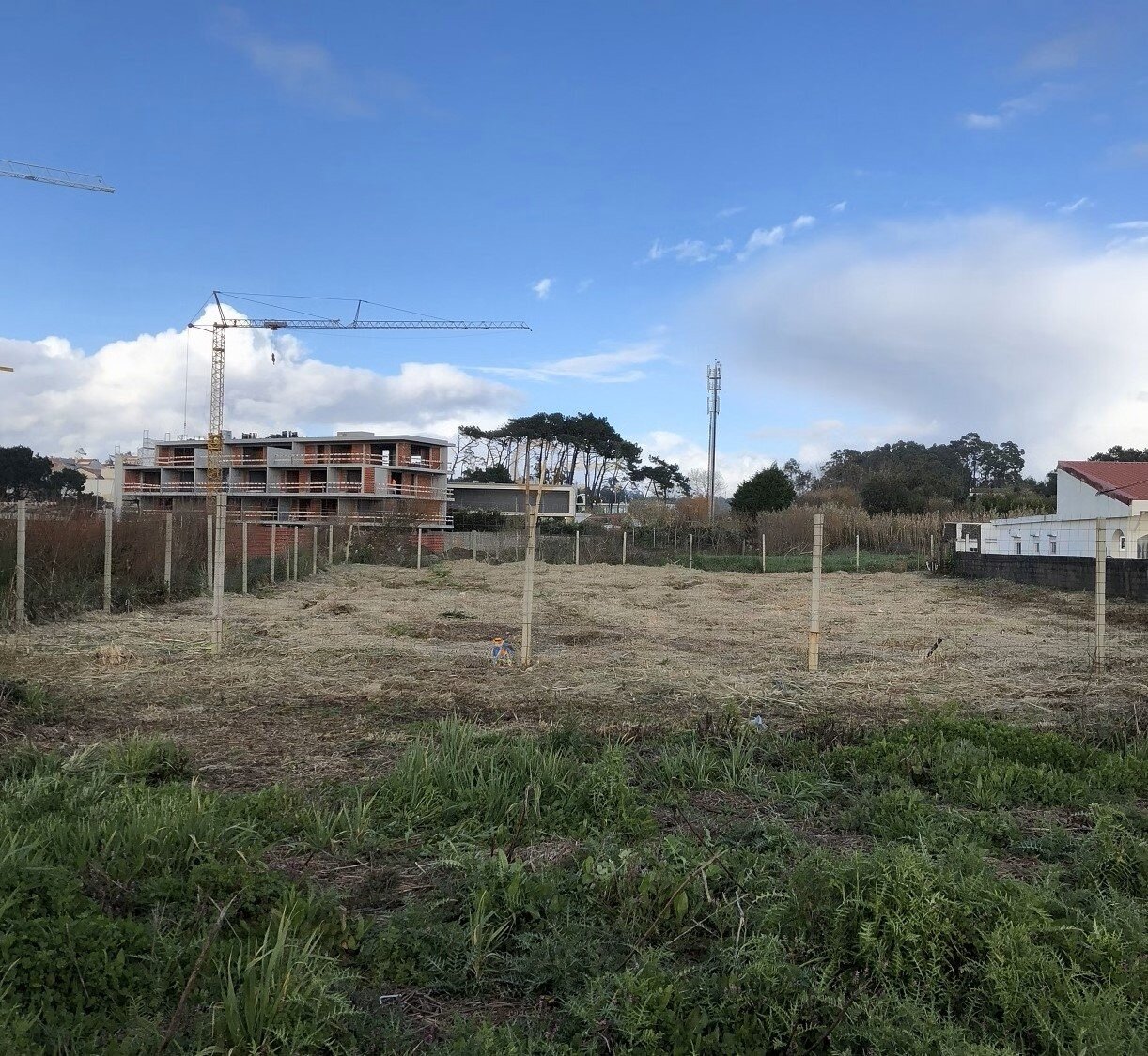 Canidelo (Vila Nova de Gaia)