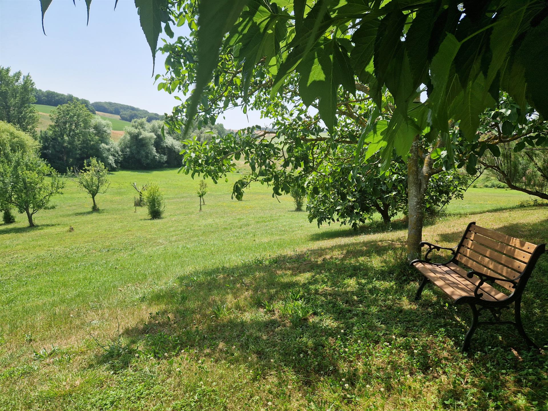 Maison à vendre, 375m², Lectoure