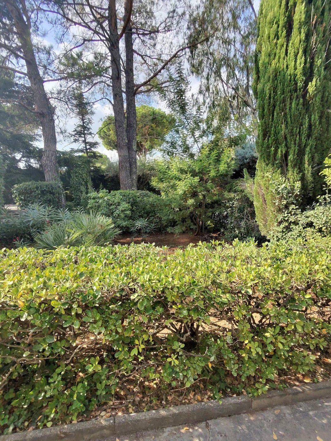 Appartement à vendre, 55m², Cuers