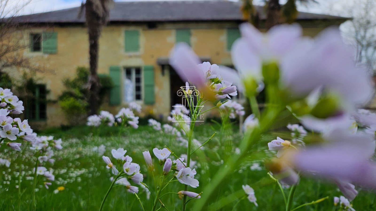 Maison à vendre, 180m², Lagraulet-du-Gers