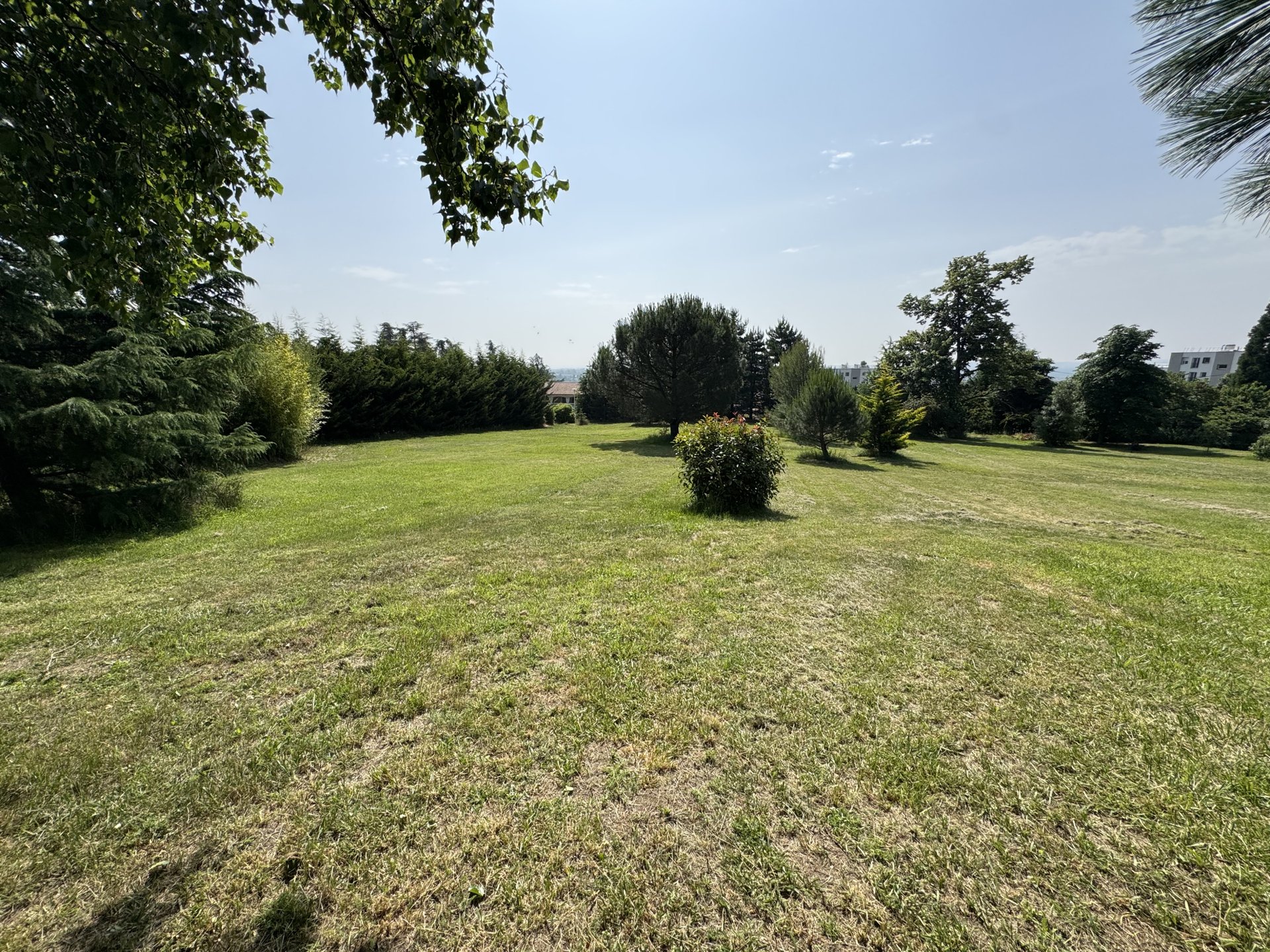 Land 2,000 m² - Vue 2