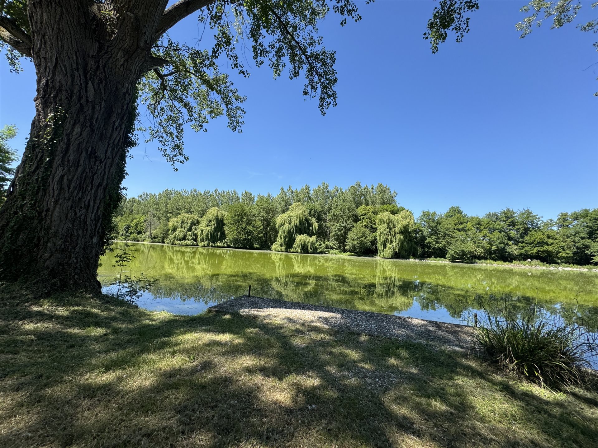 Maison à vendre, 510m², Moras-en-Valloire