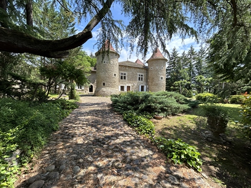 6 pièces 329 m² · à Albon · 329 m² · 990 000 €