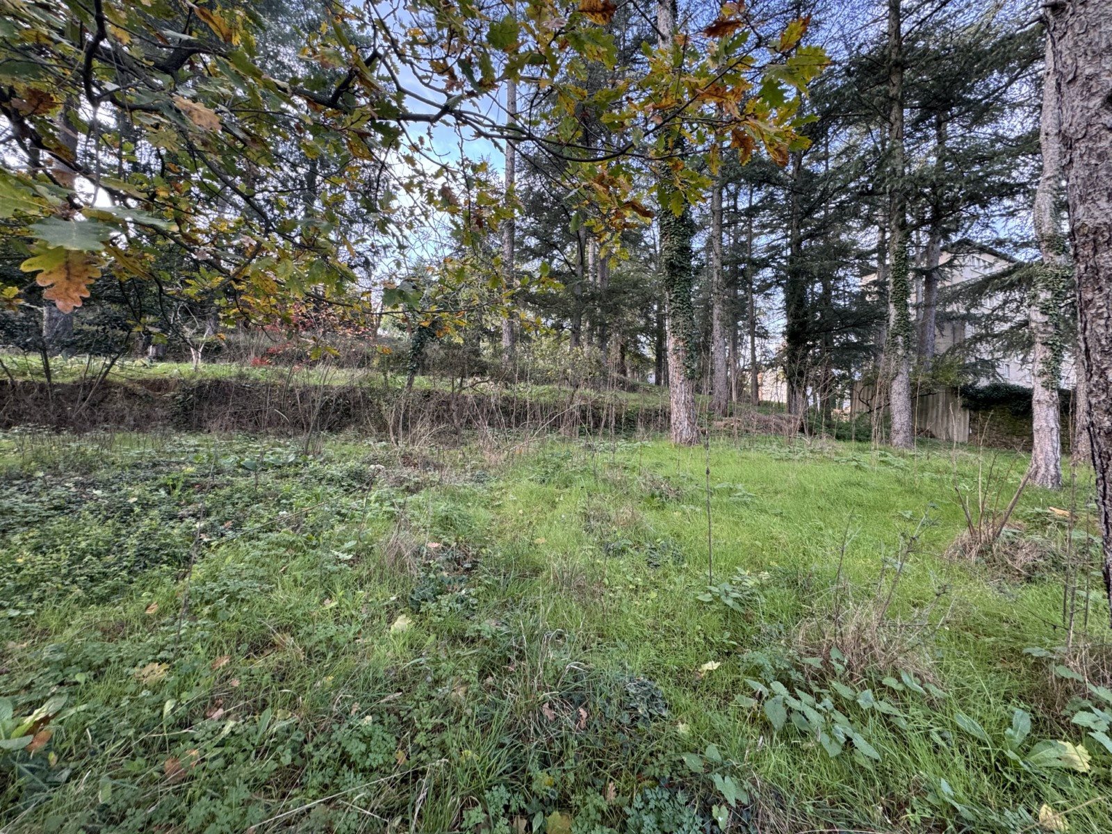Maison à vendre, 120m², Roiffieux