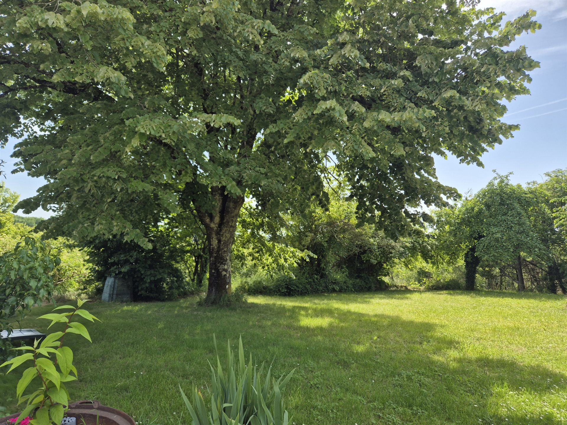 Maison à vendre, 277m², Biras