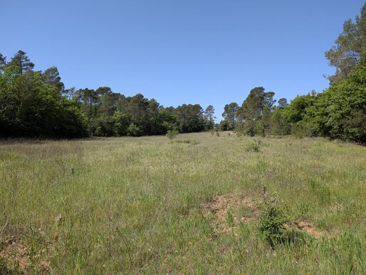 Terrain 13290 m² · au Luc · 42 900 €