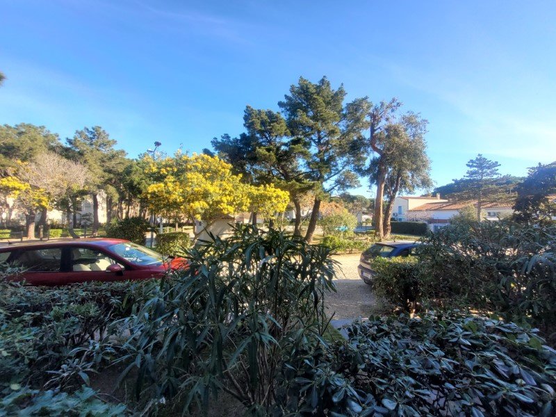 Appartement à vendre, 16m², Argelès-sur-Mer