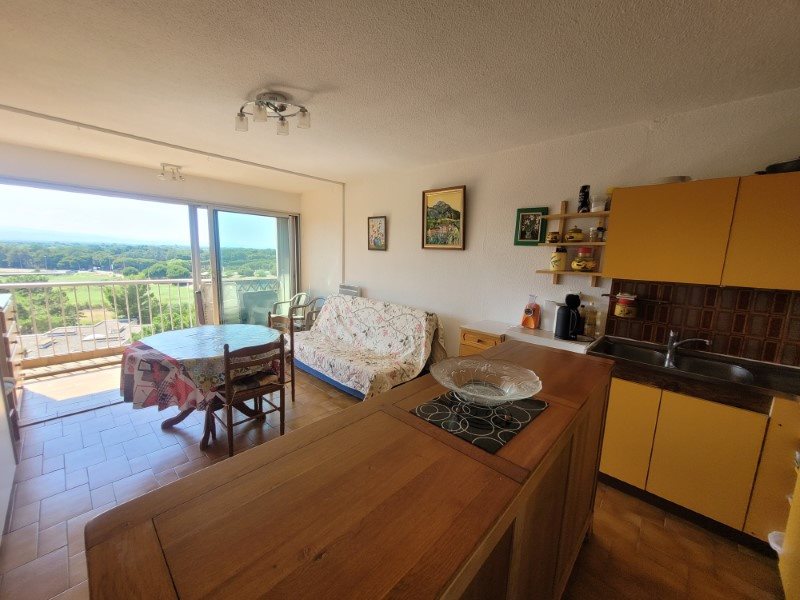 Appartement à vendre, 37m², Argelès-sur-Mer