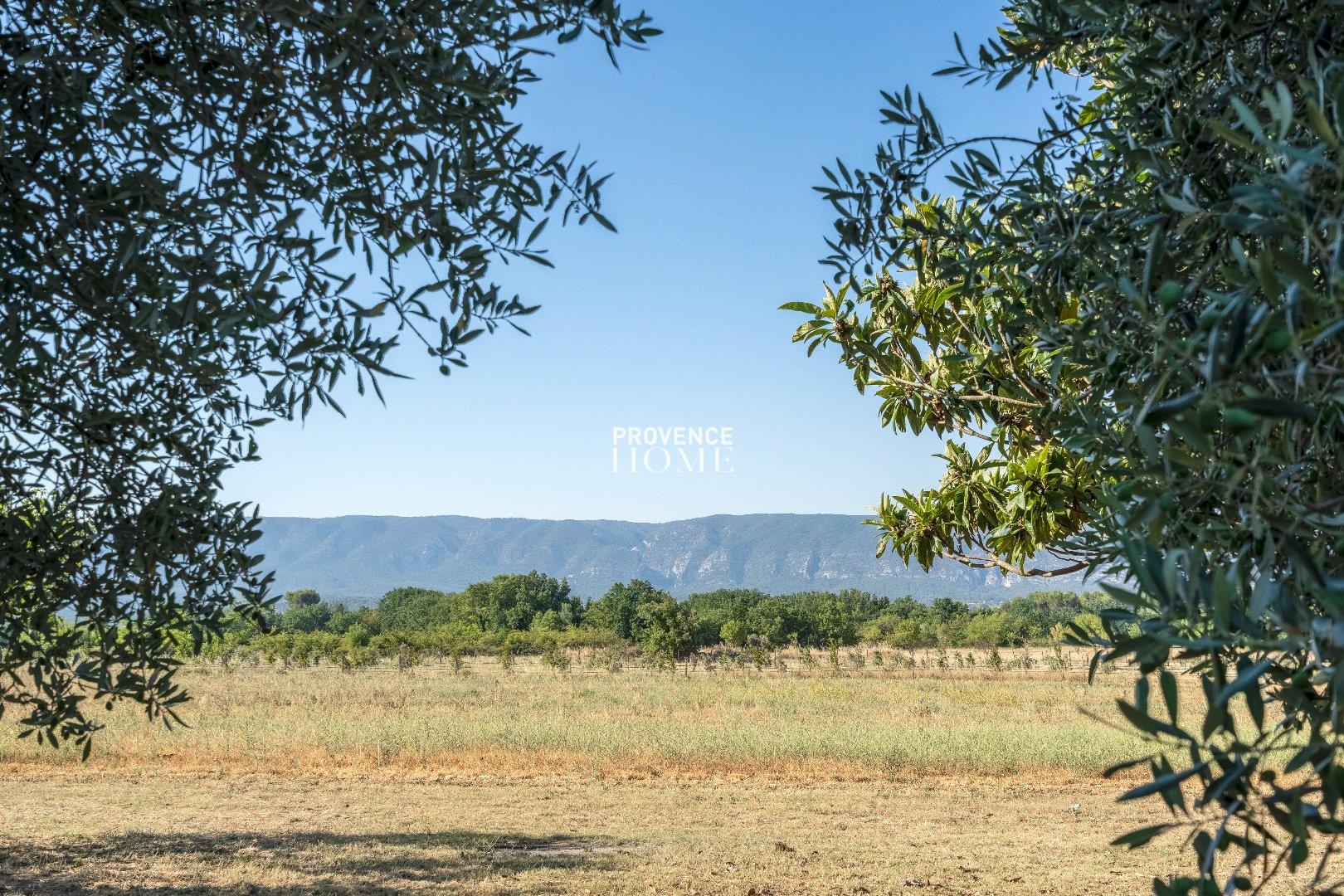 Maison à vendre, 300m², Cabrières-d'Avignon