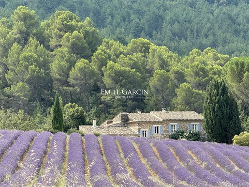 Advert pic 0