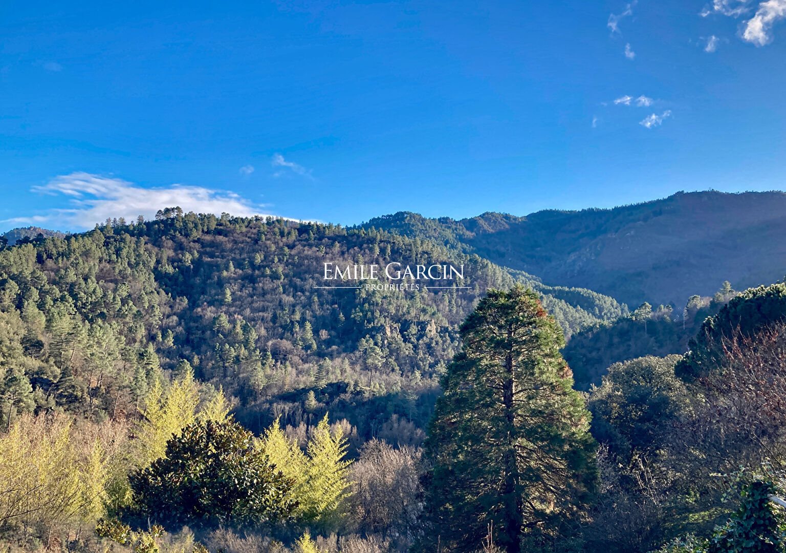 Maison à vendre, 600m², Le Collet-de-Dèze
