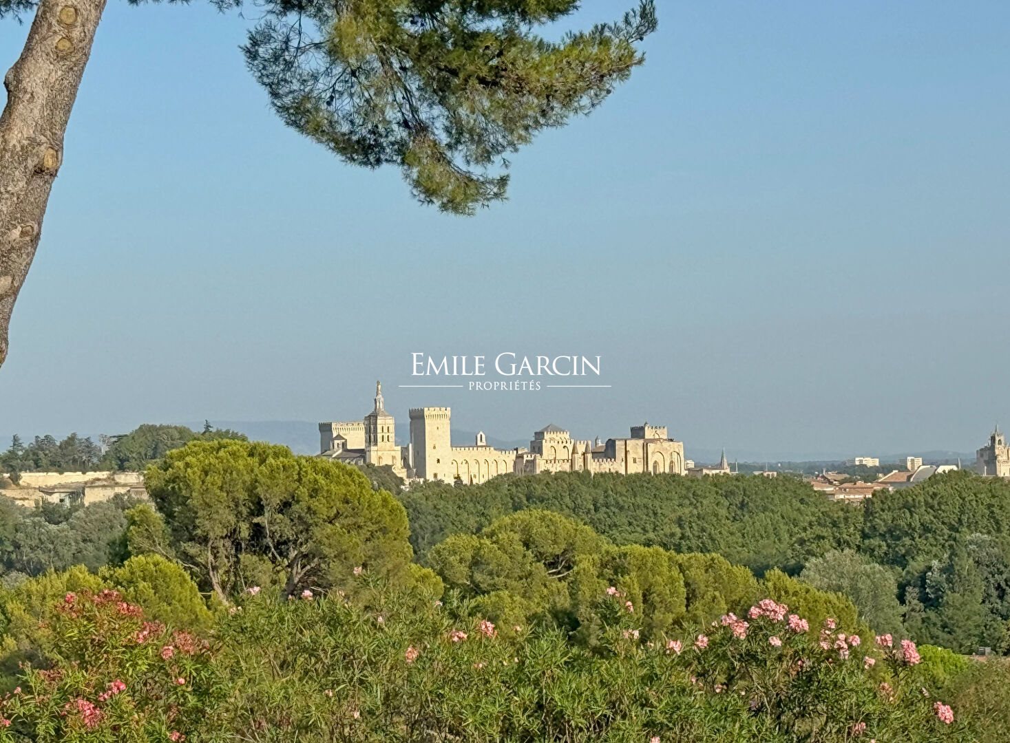Maison à vendre, 313m², Villeneuve-lès-Avignon
