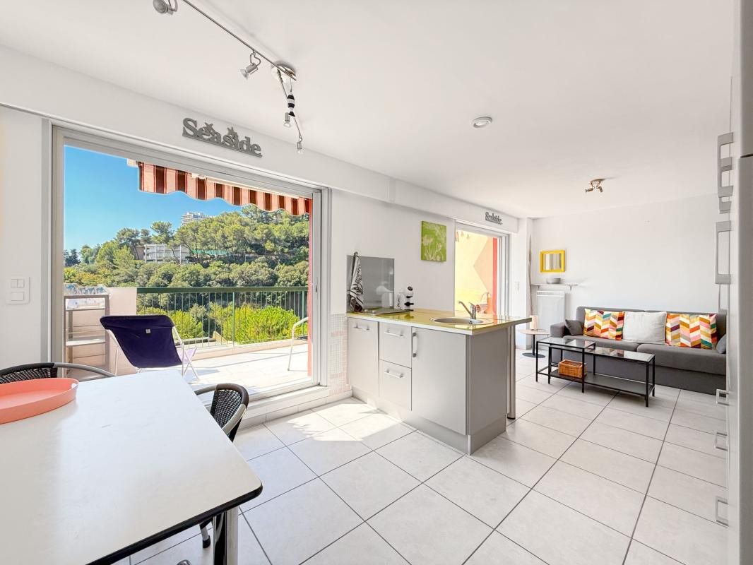 Appartement à louer, 32m², Nice