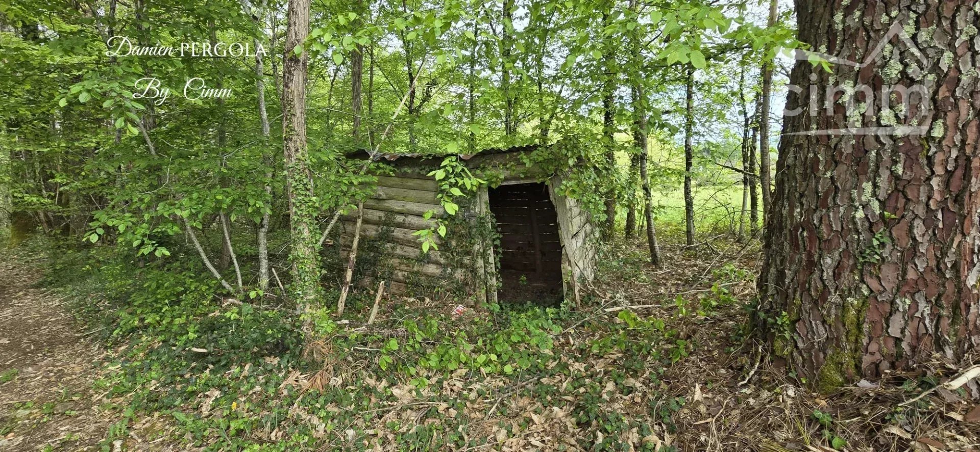 Buildable land 6,600 m²? Fully south-facing? Quiet surroundings - Vue 4