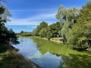 Maison à vendre, 329m², Saint-Léger-de-Fougeret