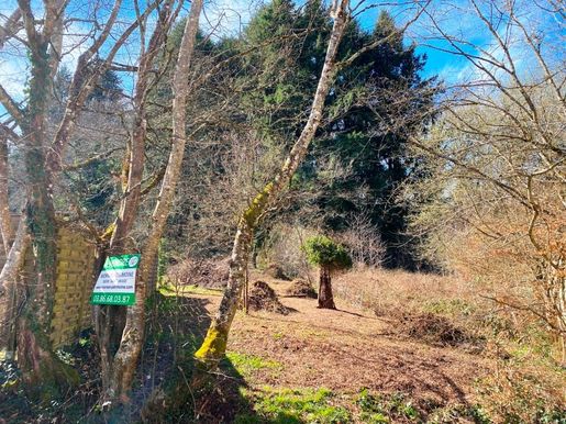 MORVAN PATRIMOINE · à Saint-Saulge · 14 000 €