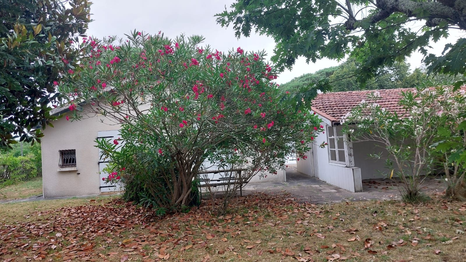 Maison à vendre, 96m², Lanton