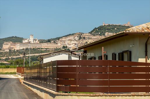 Assisi (Perugia) photo 3