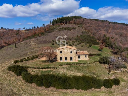 Città di Castello (Perugia) photo 2