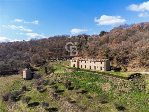 Città di Castello (Perugia) photo 3