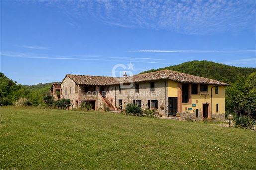 Perugia photo 2