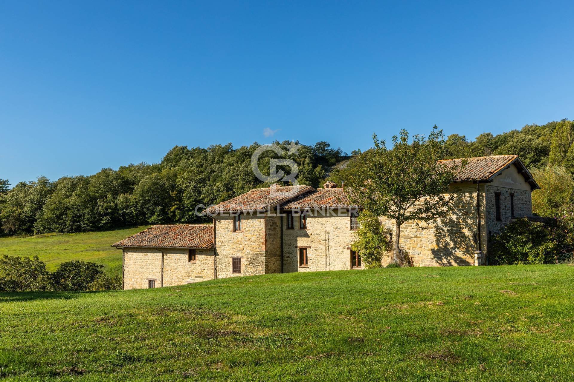 Gubbio (Perugia) photo 5