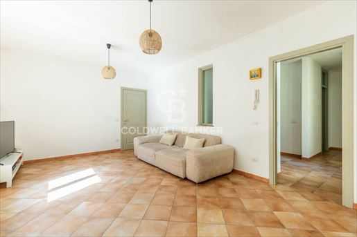 Collazzone (Perugia) photo 2